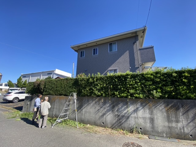 剪定
